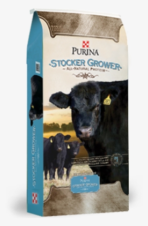 Purina® Stocker Grower - Purina All Natural Protein Stocker Grower Cattle Feed #2142088
