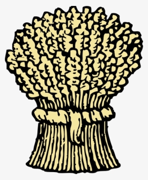 Free Vector Wheat Pack Clip Art - Clipart Grain #2142242