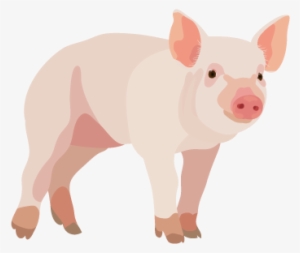201408 Pig - Pig Png #2143189