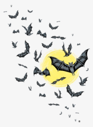 Bat Swarm #2143361