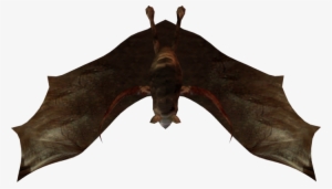 The Little Bats Have A Wingspan Of About 2 Feet - Dundjinni Bat #2143595