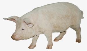 Pig Png Image - Pig Png Transparent Background #2143705