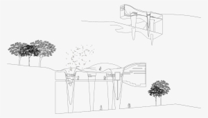 At Night When The Bats Awaken, Visitors Can Experience - Bat #2143838