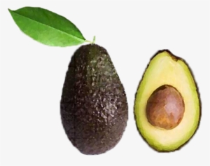 Avocado Png - Transparent Avocado #2144046