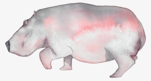 Hippopotamus #2145425