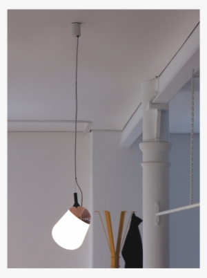 Hippo Suspension Ambient A A Cooren #2146332