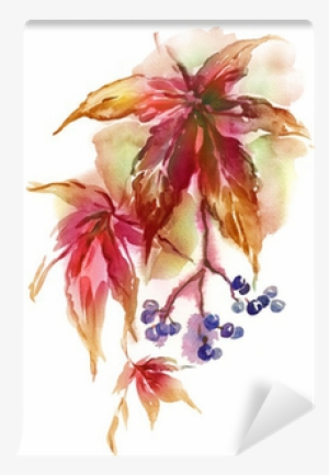Watercolor Virginia Creeper Twig Wall Mural • Pixers® - Watercolor Painting #2147348