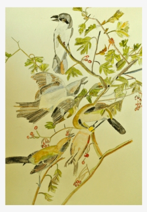 Watercolor Birds 1 - Russian Olive #2147412