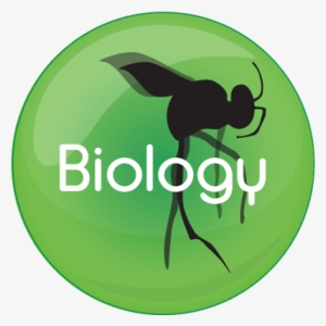 Energy And Growth - Student Welfare Organisation In Bergen #2147596