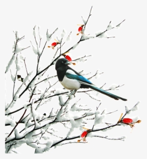 Hand Drawn Cartoon Winter Twig Decoration Vector - Winter #2147700