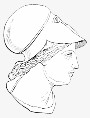 Athena Ri1 - Sketch #2148377