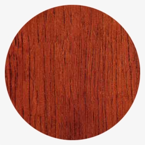 Tualang - Saman #2149130