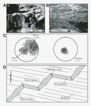 Double-sided Arrows Indicate The Orientation Of The - Sill #2150078