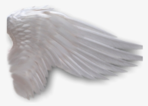 Angel Wings Anime Side View Download - Angel Wings On The Side Png #2150165