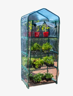 Holman 4 Tier Greenhouse With Misting Kit - Greenhouse Bunnings #2150511