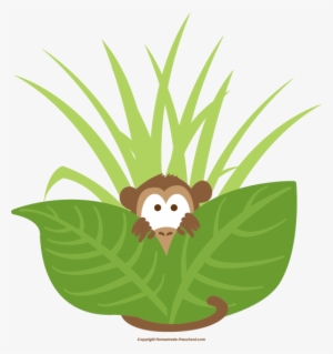 Monkey Peeking Out 521×554 Pixels - Monkey Peeking Png #2151565