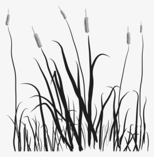 Marsh Tails Cattails Clip - Marsh Clip Art #2151724