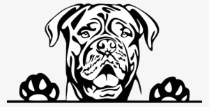 Hotsigns And Decals - Pitbull Dog Clipart Black And White #2151936