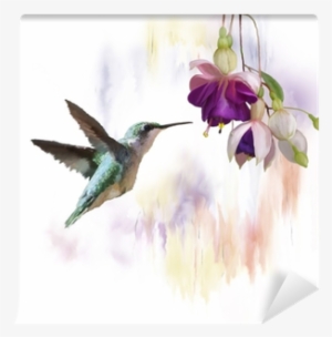 Hummingbird And Flowers Watercolor Wall Mural • Pixers® - Koliber Kwiaty #2152448