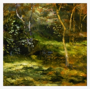 Image Not Available - Old-growth Forest #2152797