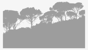 Download Png - Moon Posters #2153099