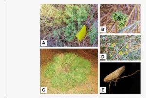 A & B - Shoot #2153499