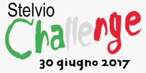 Stelvio Challenge - Graphic Design #2153855