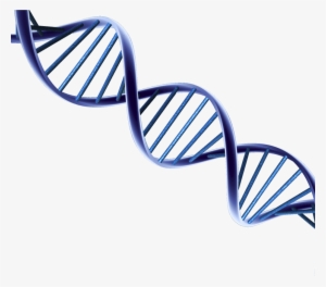 Psa And Prostate Cancer Research #2154129