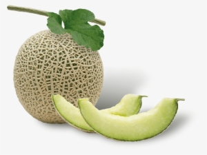Musk Melon - 메론 #2154157 Musk Melon - 메론 #2154157