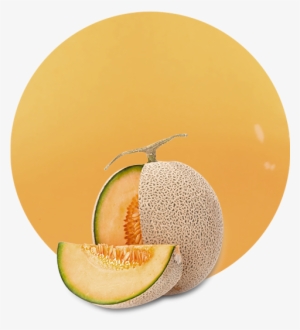Cantaloupe Melon Juice Nfc - Honeydew #2154180