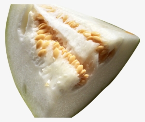 Winter Melon Png Image1 - Wax Gourd #2154204