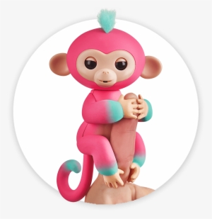 Fingerlings Monkey 2tone Ombre Melon - Fingerling Monkey #2154486