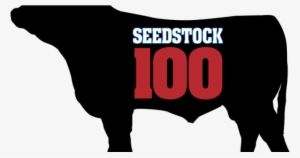 Seedstock 100 - Livestock>seedstock - Beef #2154511