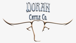 Blog Post Image - Texas Longhorn #2154519