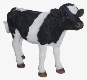 Vivid Arts Cow #2154558