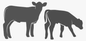 Calves - Beef Calf Silhouette #2154713