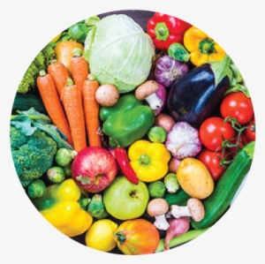 Cocina Vegetariana: Platos Saludables, Livianos Y Nutritivos #2154910