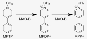 Mpp Biosynthesis Pathway - Jpeg #2154978