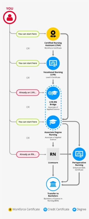 A Map Of The Nursing Pathways - Nursing #2155060