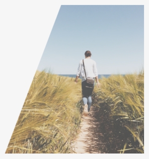 Pathway - Path To What You Want: A Transformational Program To #2155136