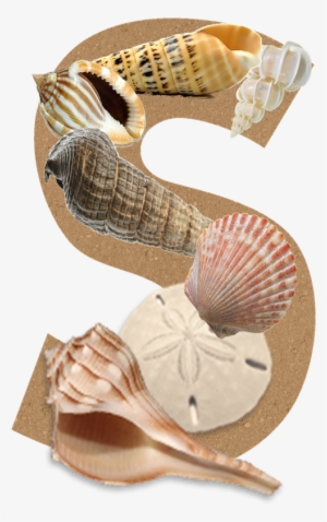 I Created A 4 Page Handout About The Techniques I Came - Concertos Op. 10 Nos. #2155393