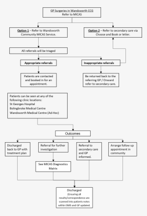 Micas Pathway - Diagram #2155577