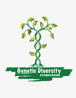 Calling All Post-graduate Students Interested In Genetic - Centros De Diversidad Genetica #2156293