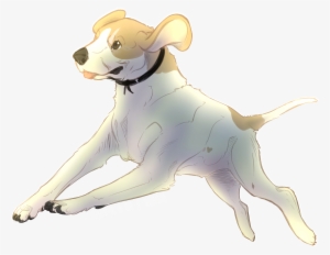 Jump Rope - English Foxhound #2156563