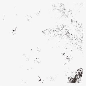 “a Rare Gem For Warhammer Fans - Bird #2157214