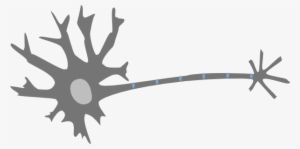 Small - Neuron Clipart #2157695 Small - Neuron Clipart #2157695