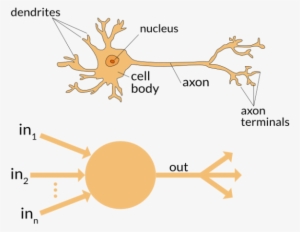 Neuron - Artificial Neural Network #2157867