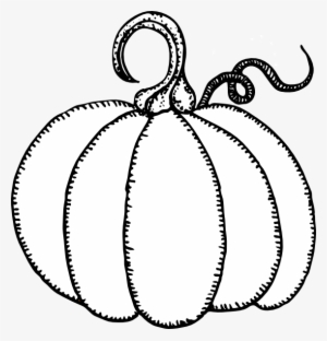How To Set Use Pumpkin Outline Clipart #2158324