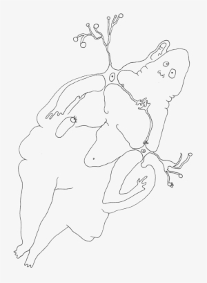 Neuron #2158653 Neuron #2158653