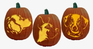 Be The Top Dog This Halloween With These Adorable, - Fairy Pumpkin Carving Ideas #2158825